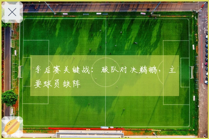 季后赛关键战：狼队对决鹈鹕，主要球员缺阵