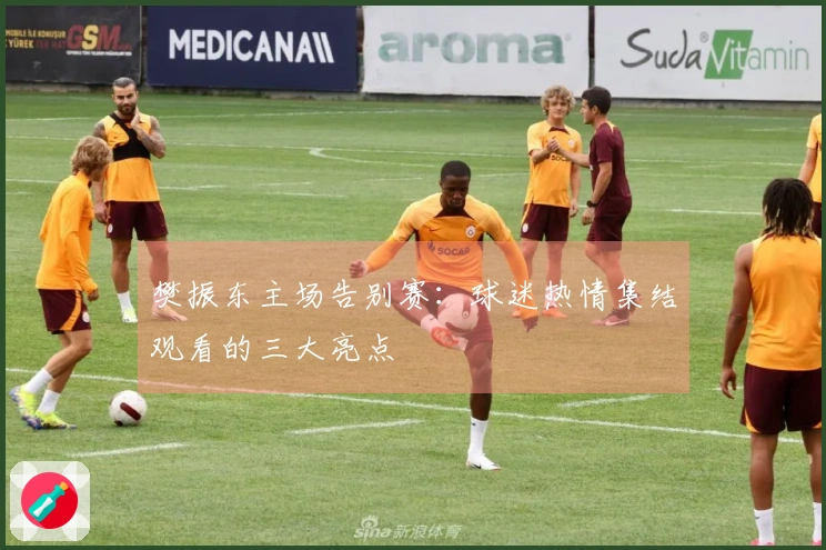 樊振东主场告别赛：球迷热情集结观看的三大亮点